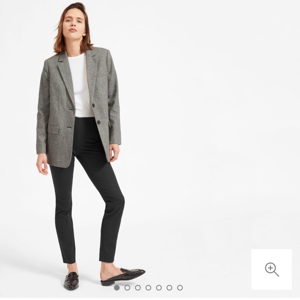 Everlane Side ZIP Work Pant